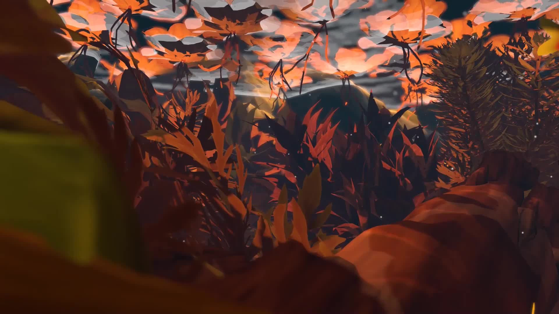 Tetra Time Hd Now With Lofi