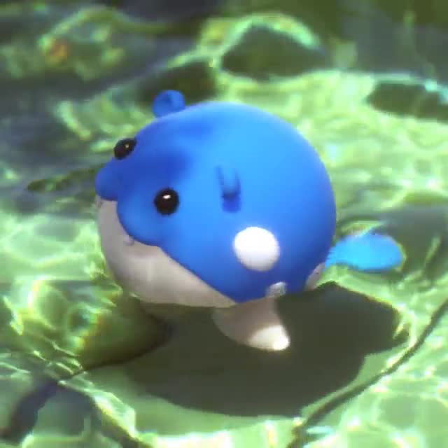 Foca Brisando Pokemon Animation