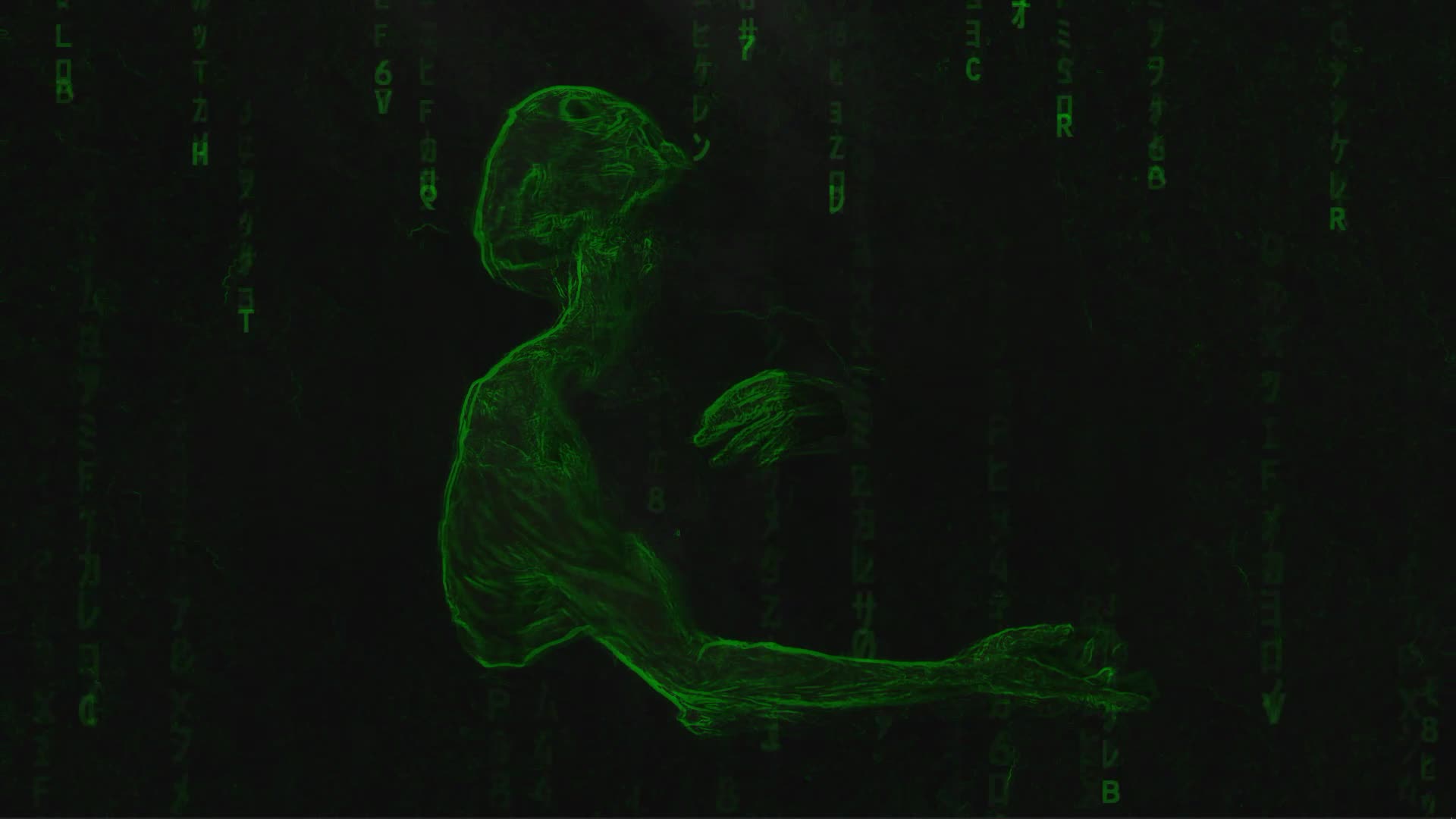Lost in Matrix Animated Wallpaper