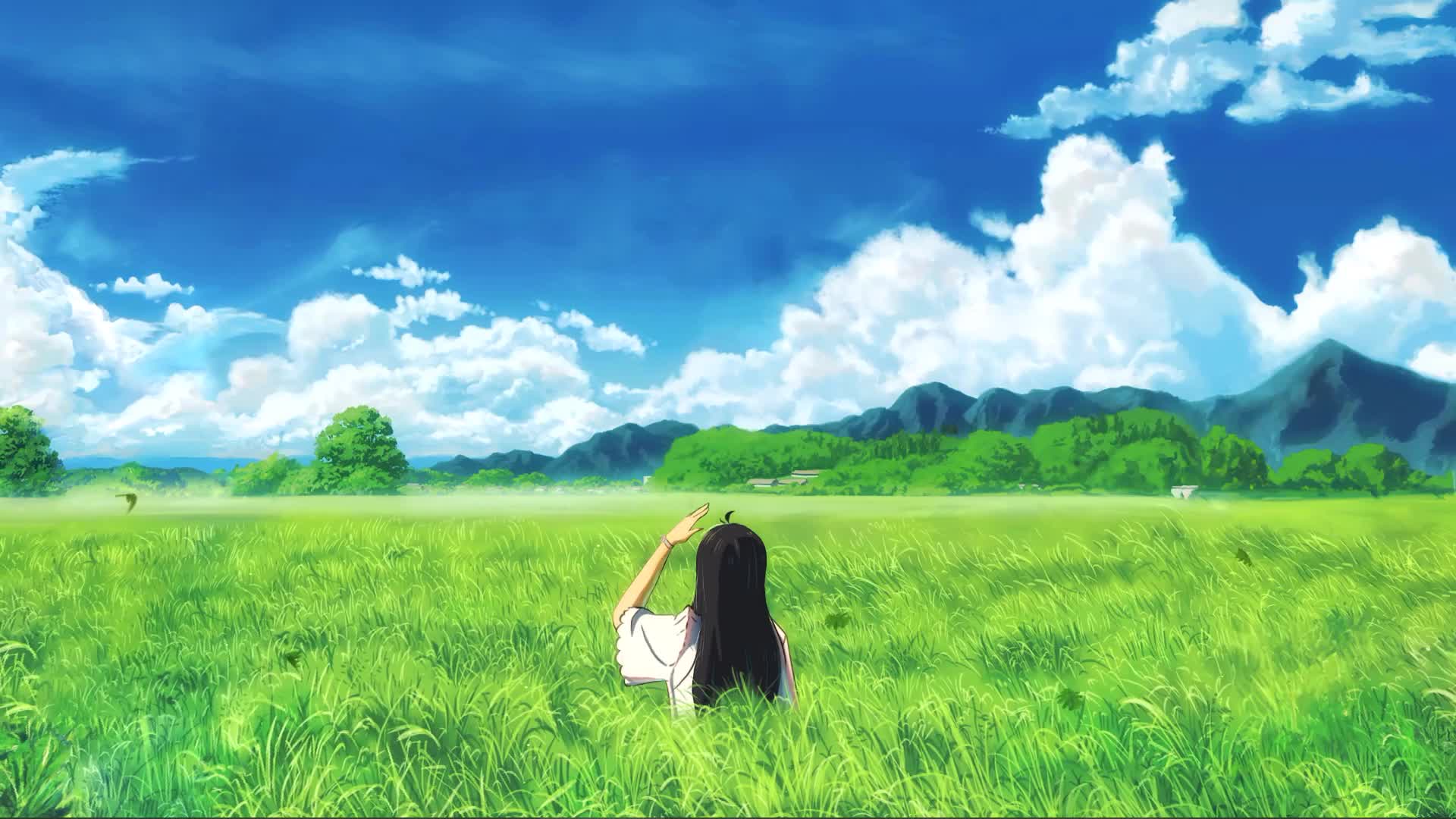 Whale Cloud Live Wallpaper