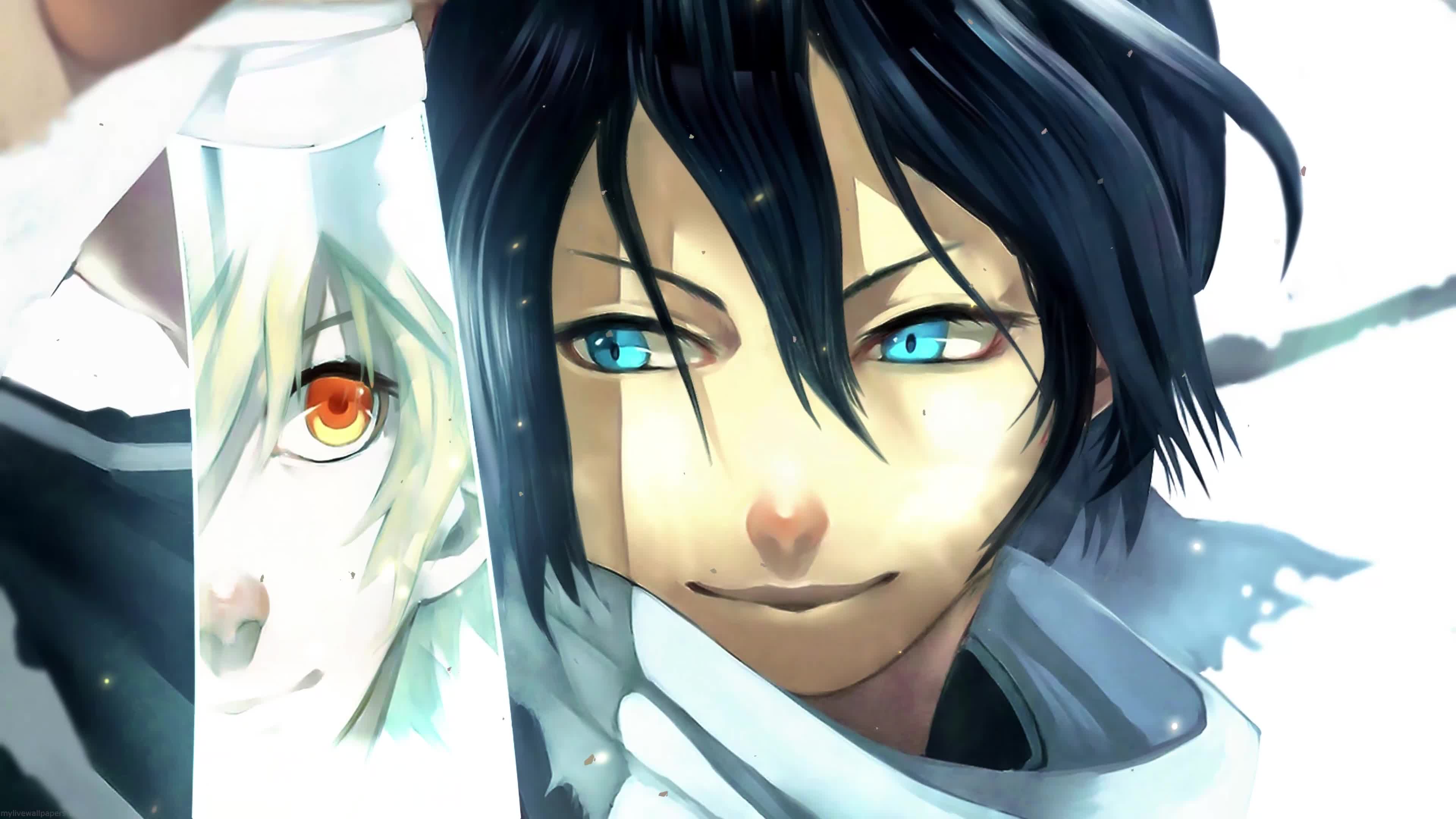 Noragami 4K live wallpaper