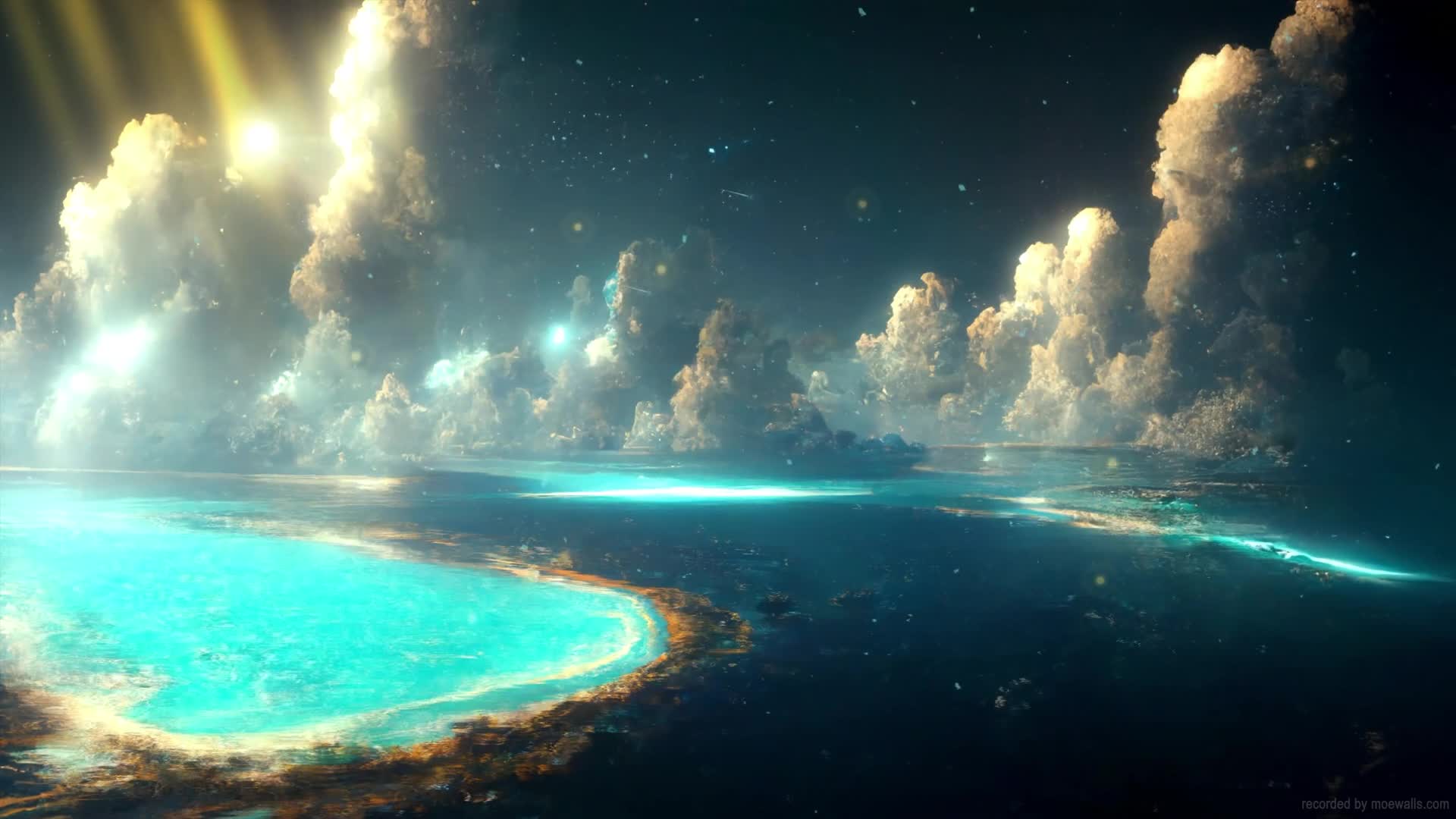 Fluorescent Sea Live Wallpaper