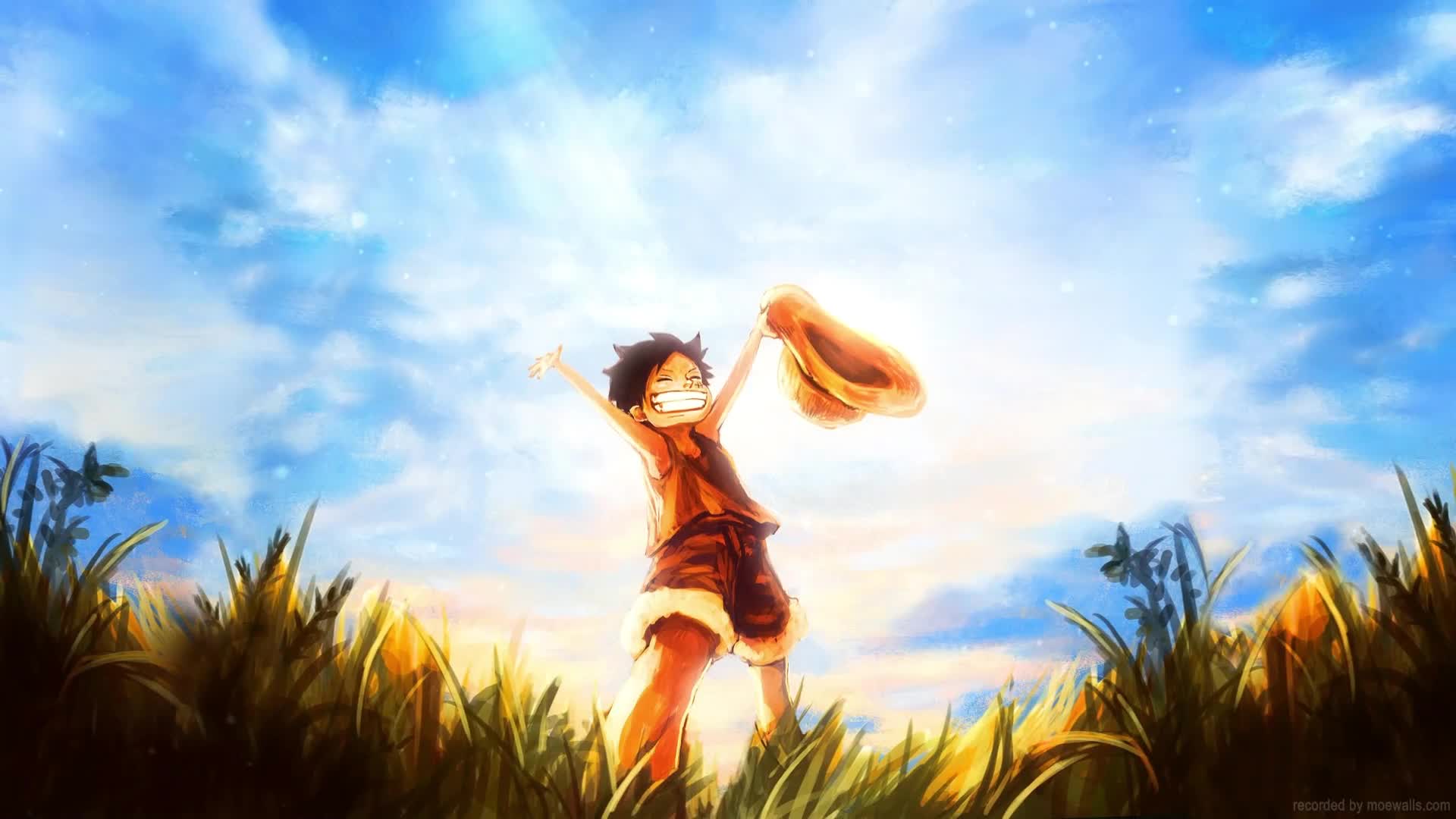 Luffy Kid Happy One Piece Live Wallpapr