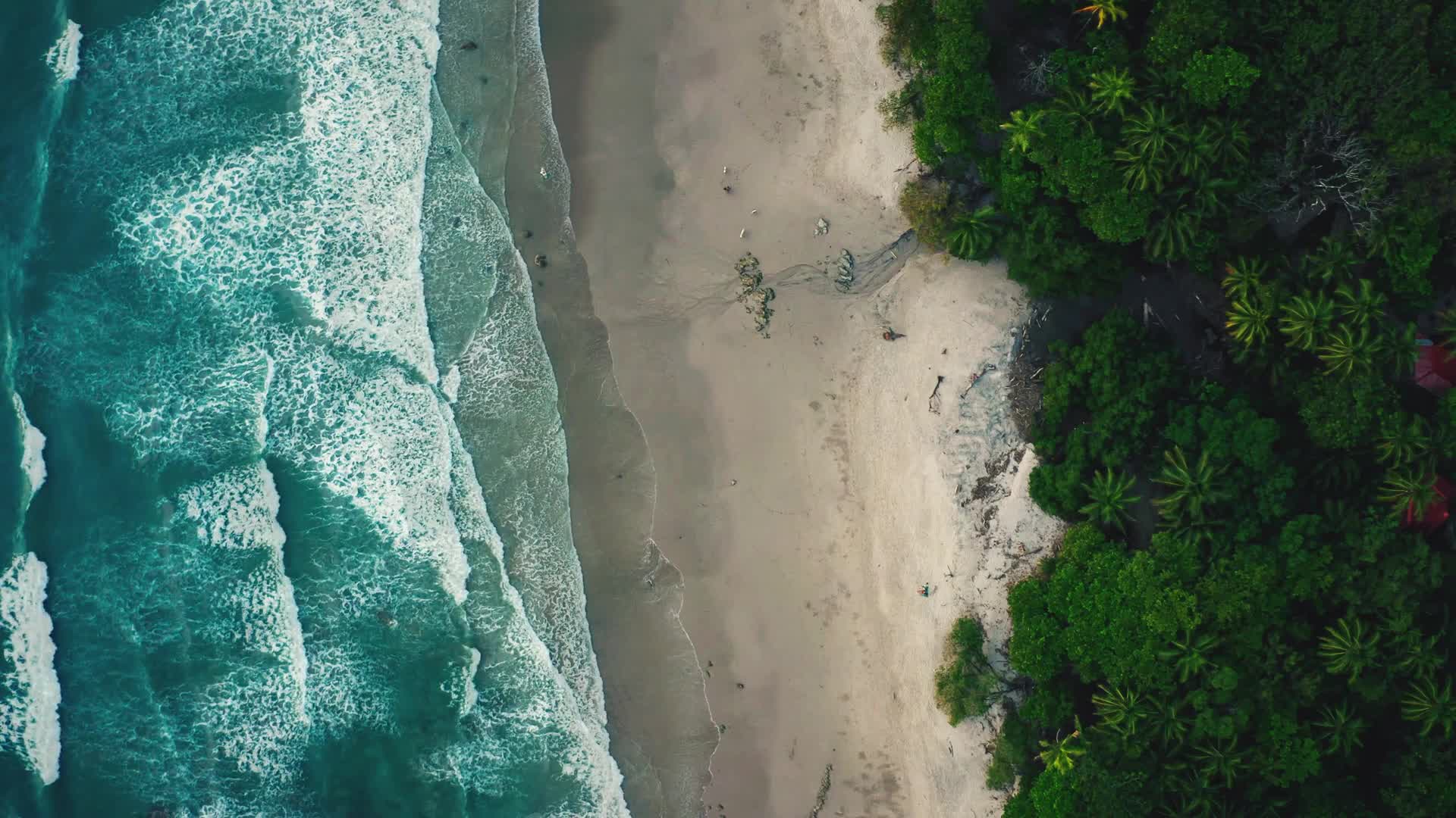 Santa Teresa Beach Live Wallpaper