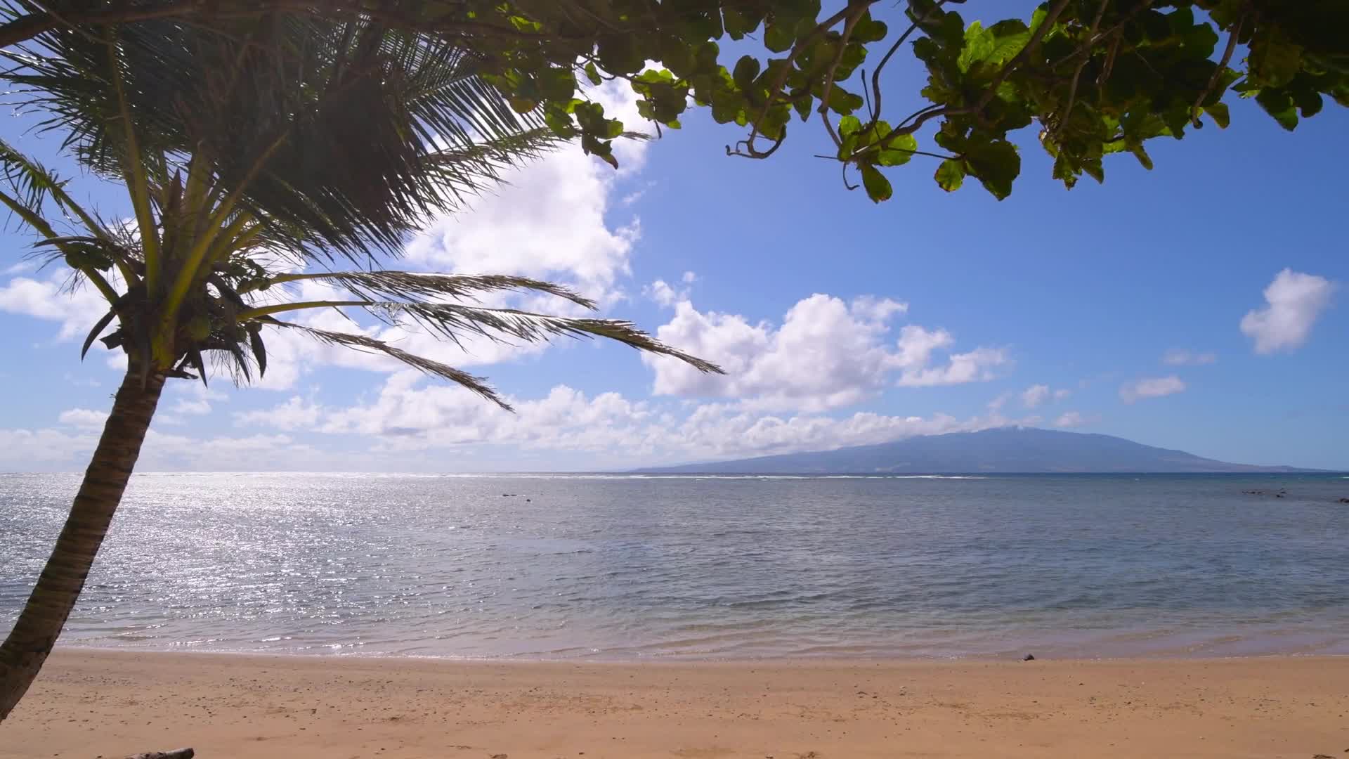 Molokai Breeze HD Live Wallpaper