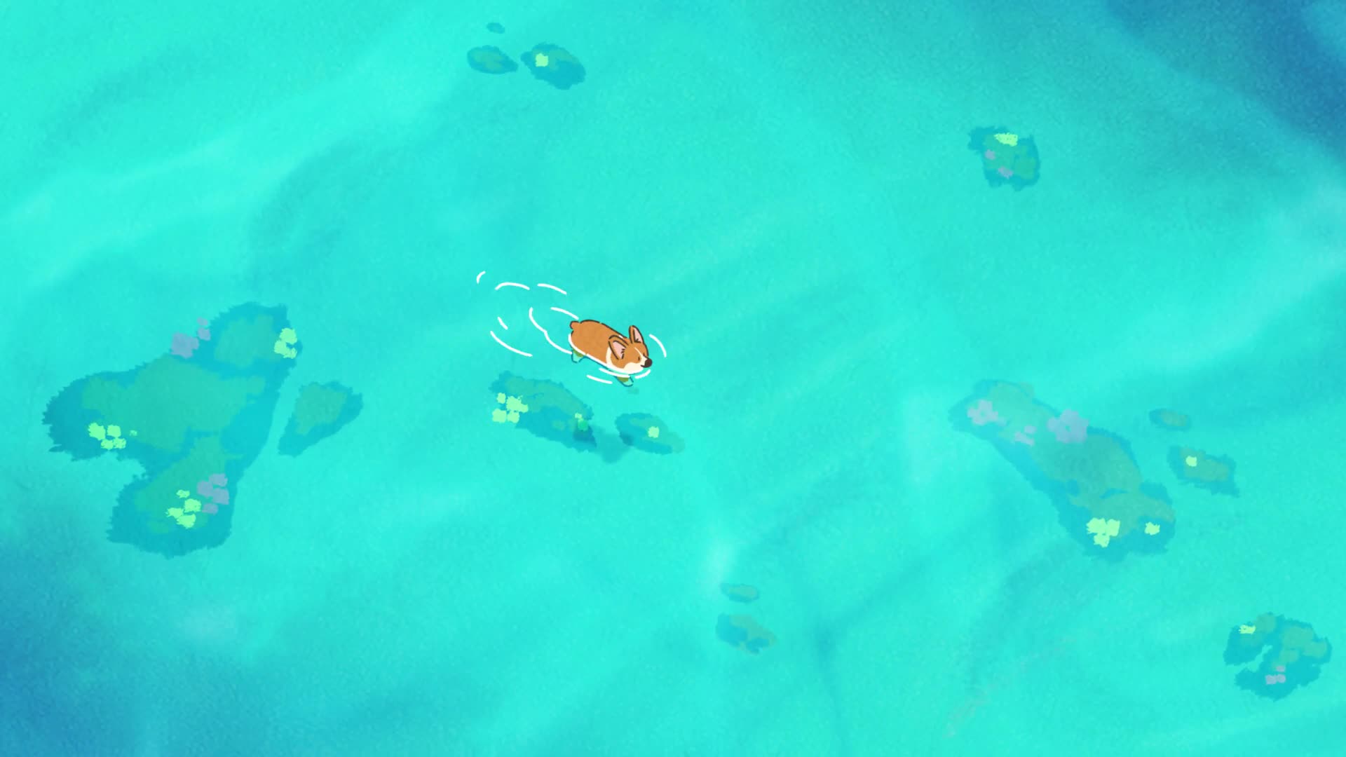Cute Corgi Dogies Swimming Live Wallpaper