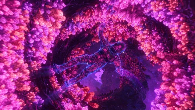 The Passage By VISUALDON - 4K 60 FPS
