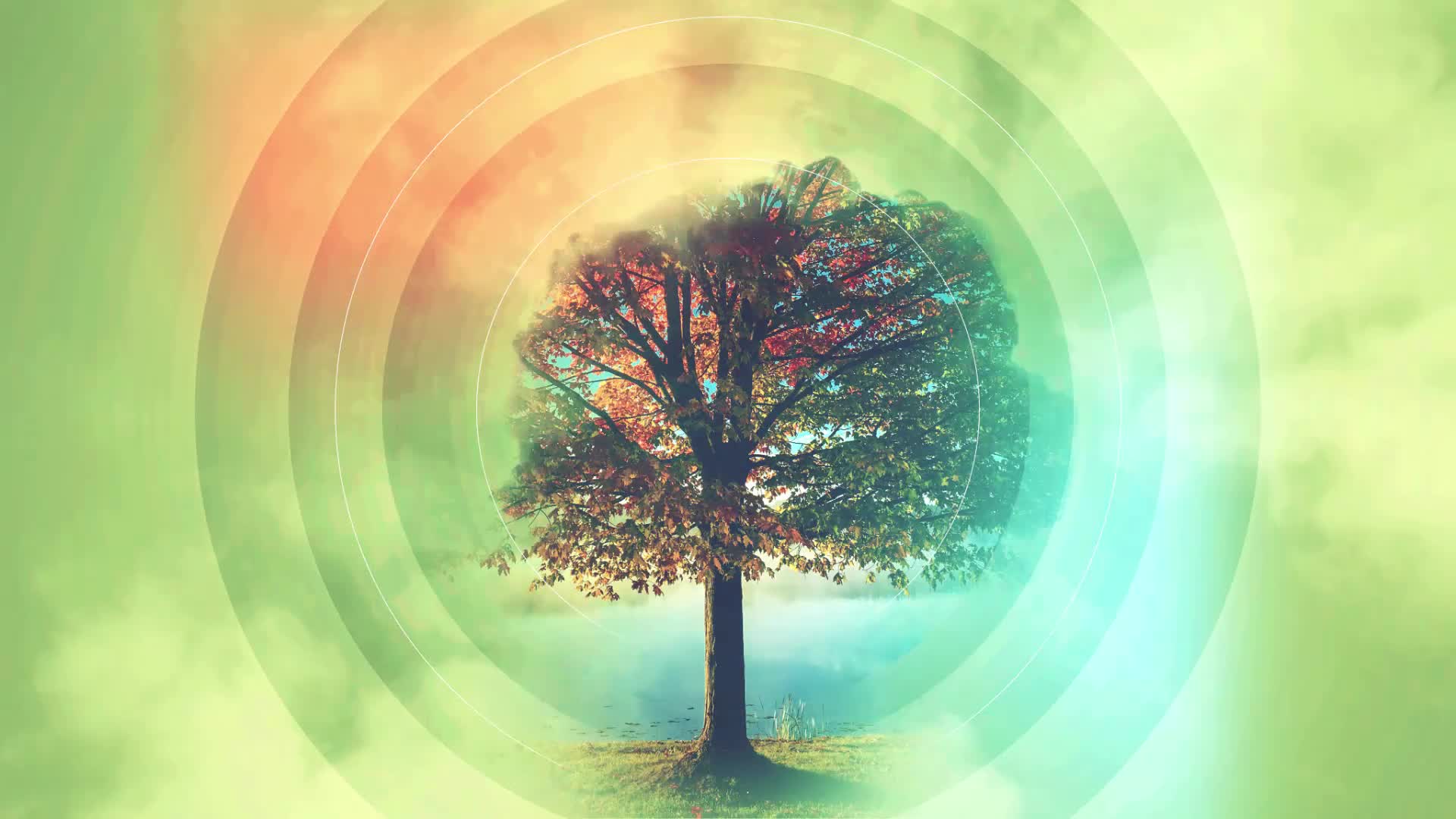 Abstract Magic Tree