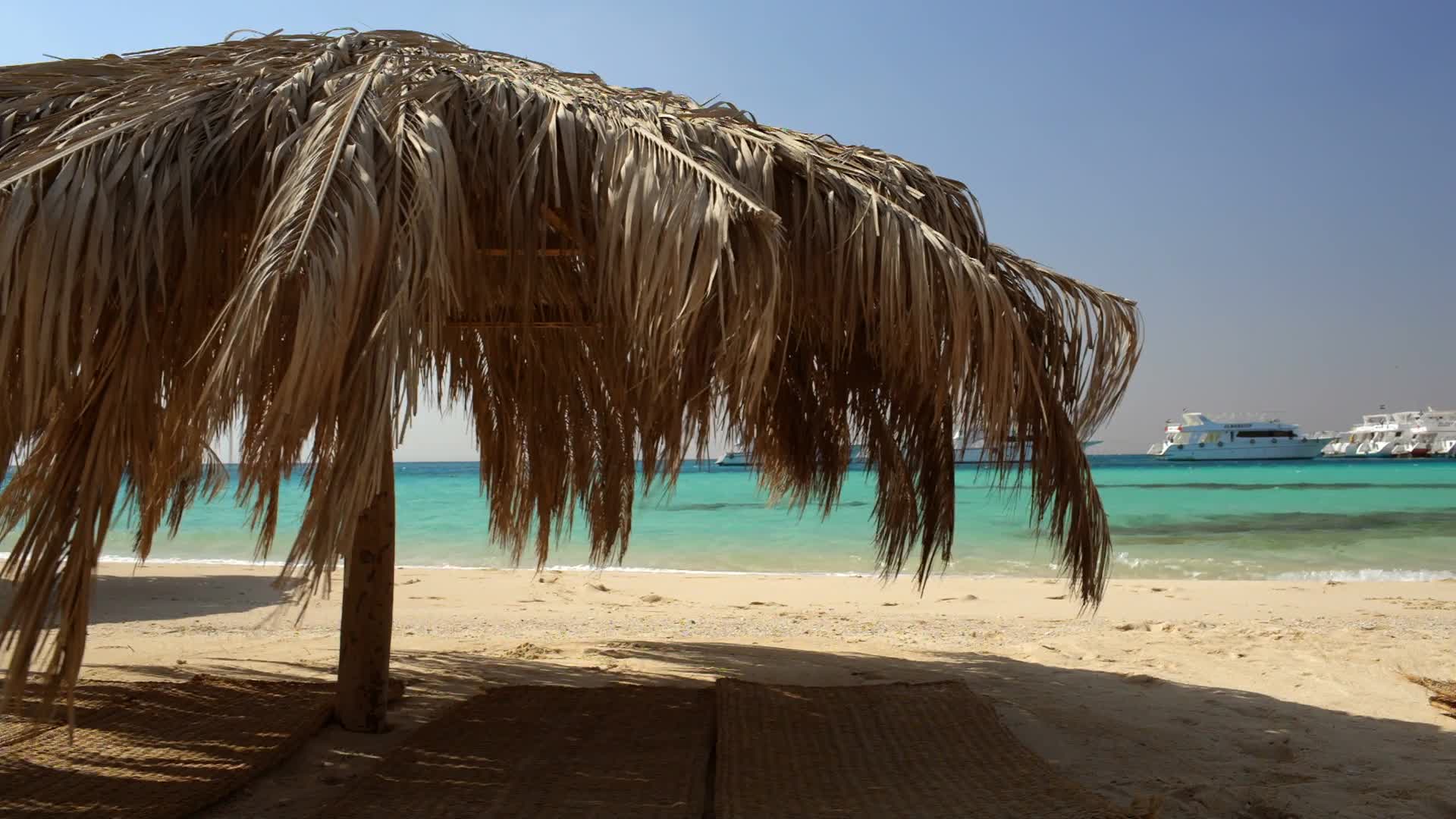 Tropical Resort HD Live Wallpaper