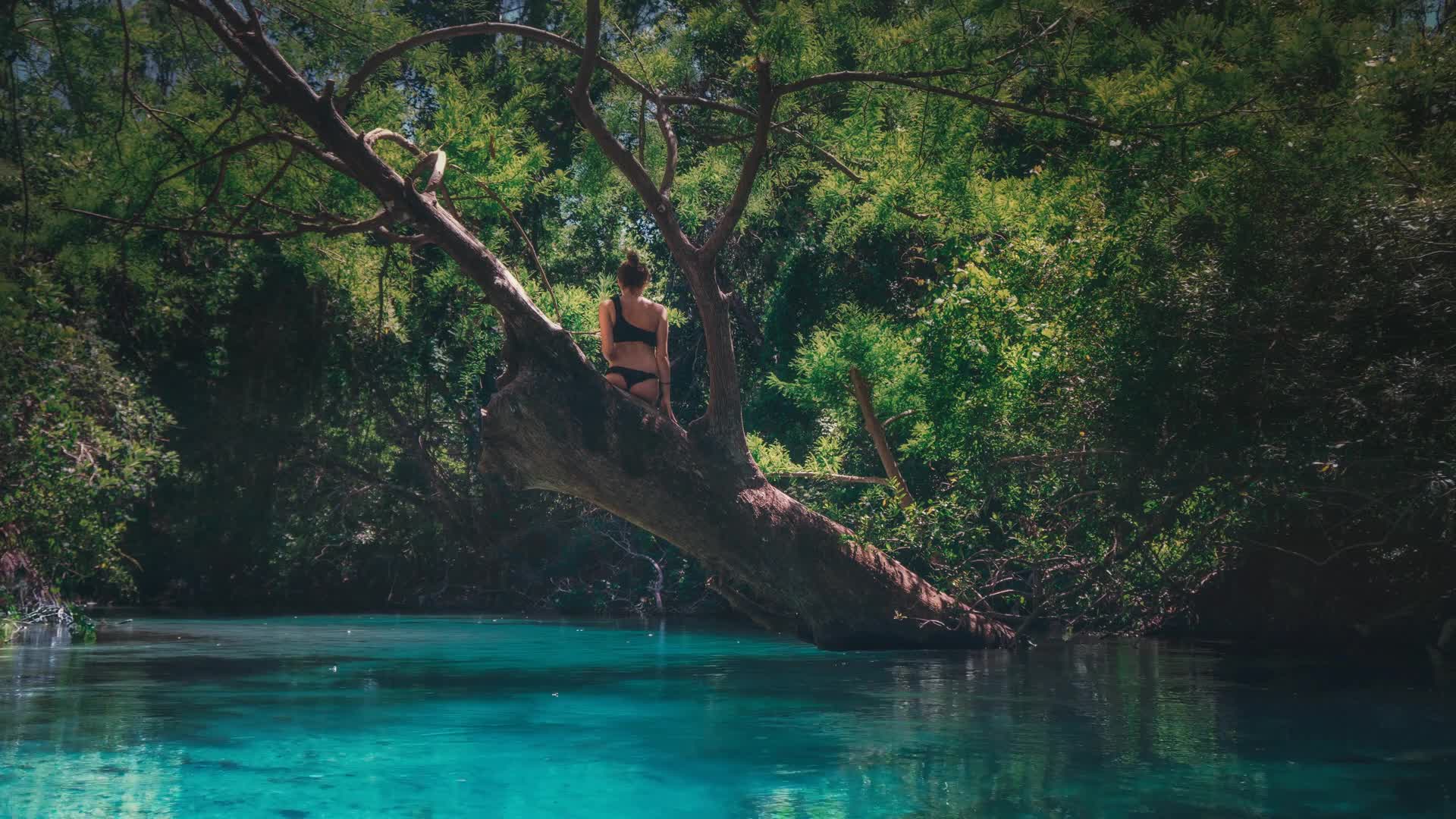 Weeki Wachee River in Florida HD Live Wallpaper