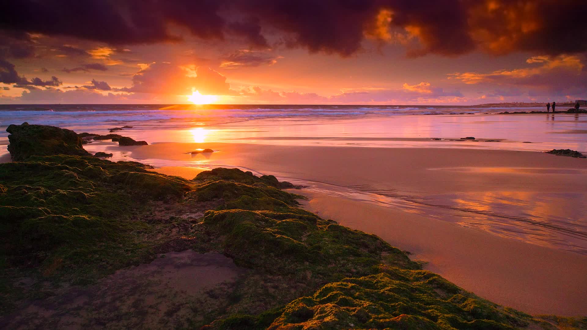 GoldenLight HD Live Wallpaper