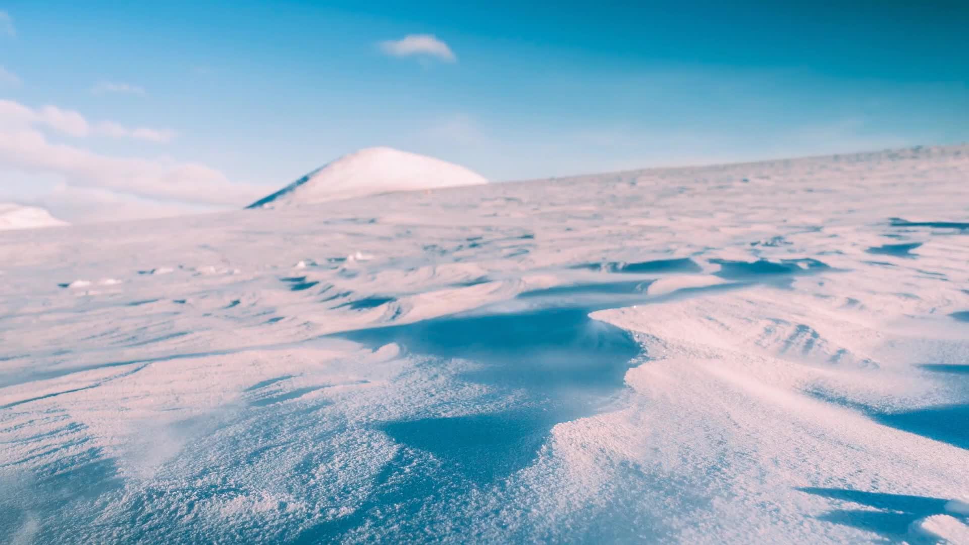 Venabu Live Wallpaper