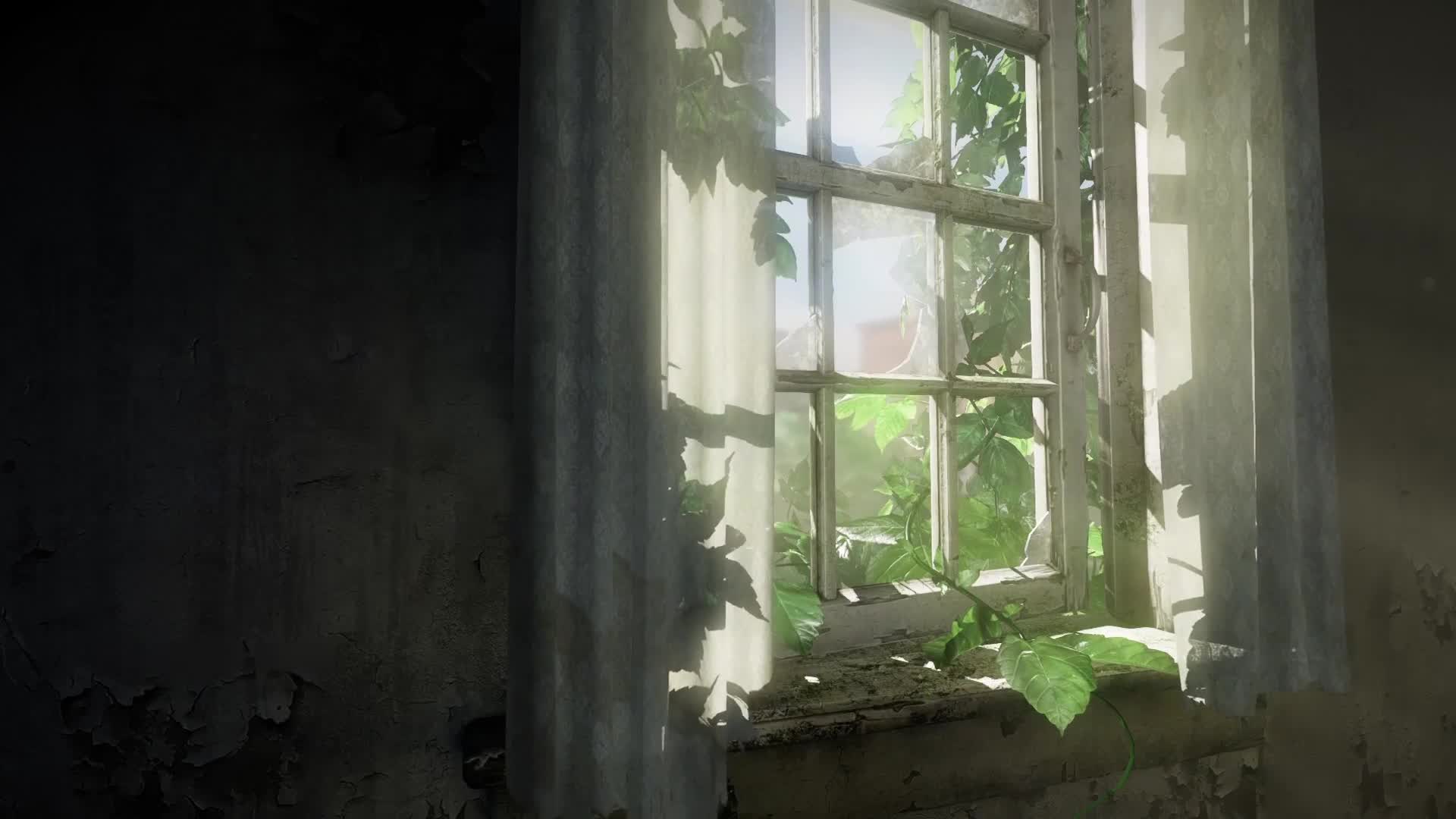 The Last Of Us Live Wallpaper