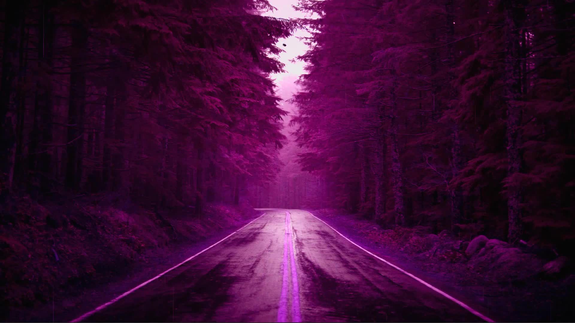 Dark Rain Forest Road Live Wallpaper
