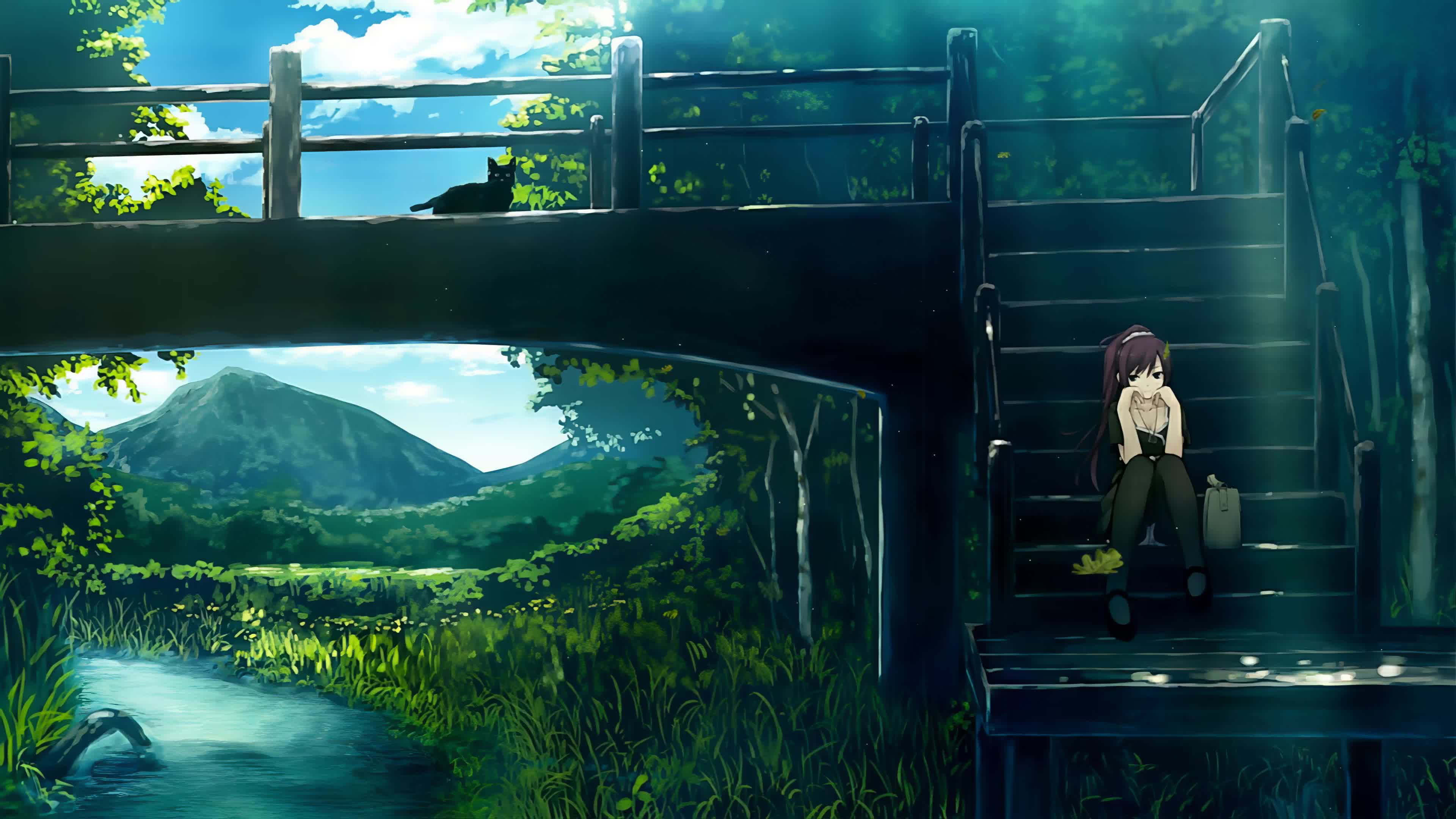 Hitagi Senjougahara Bakemonogatari Landscape 4k Live Wallpaper