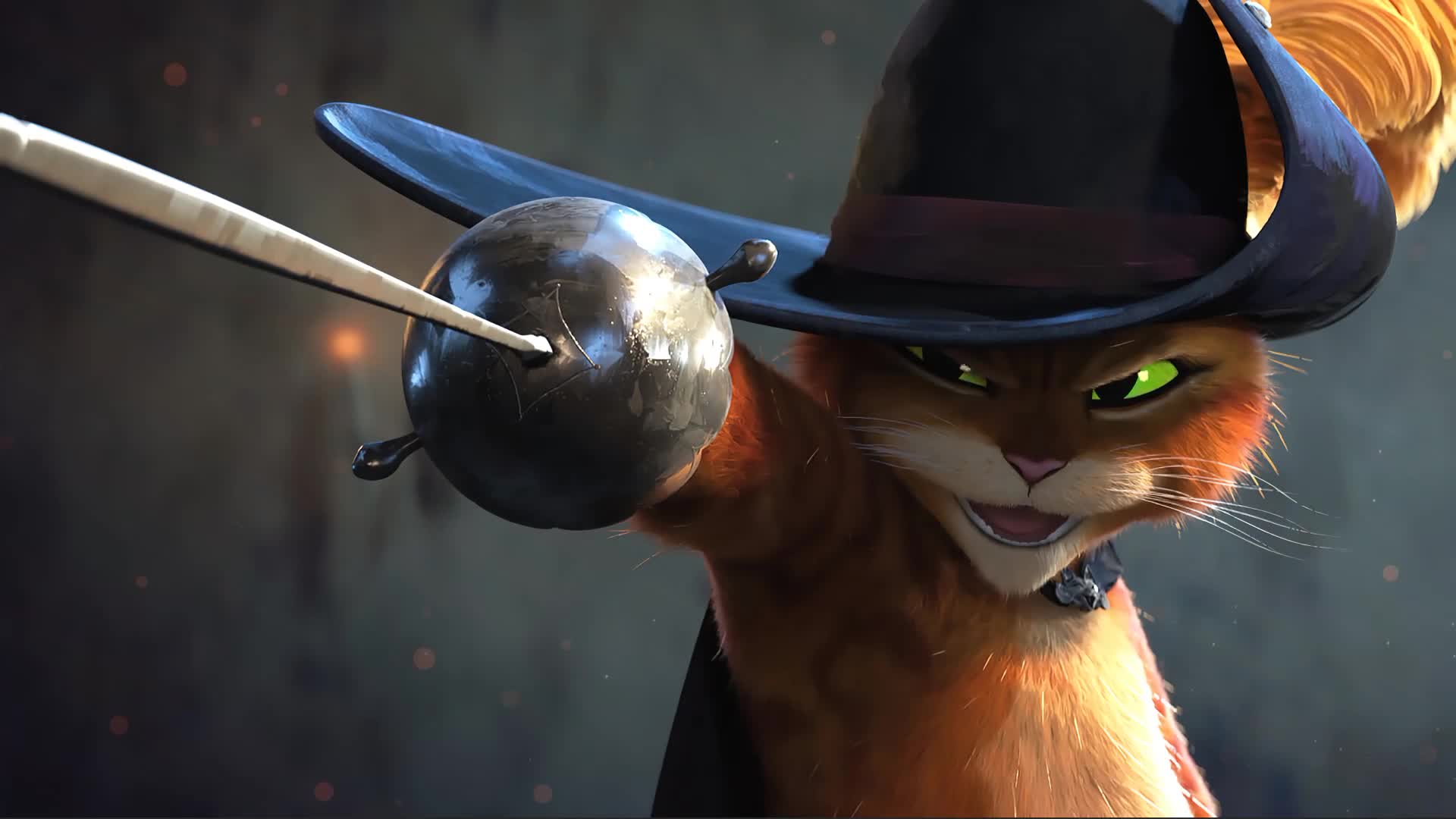 Puss In Boots With Sword Animated Desktop Background