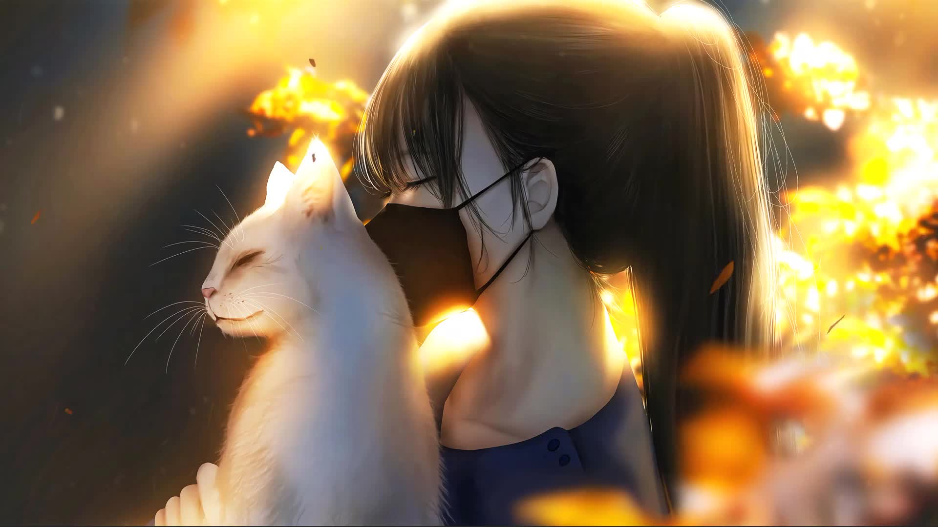 Lily My Blind Cat Animated Desktop Background