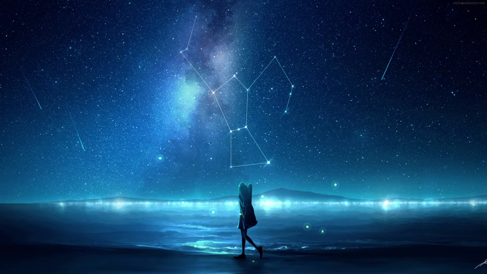 PC Animated Glow Night Beach Live Wallpaper