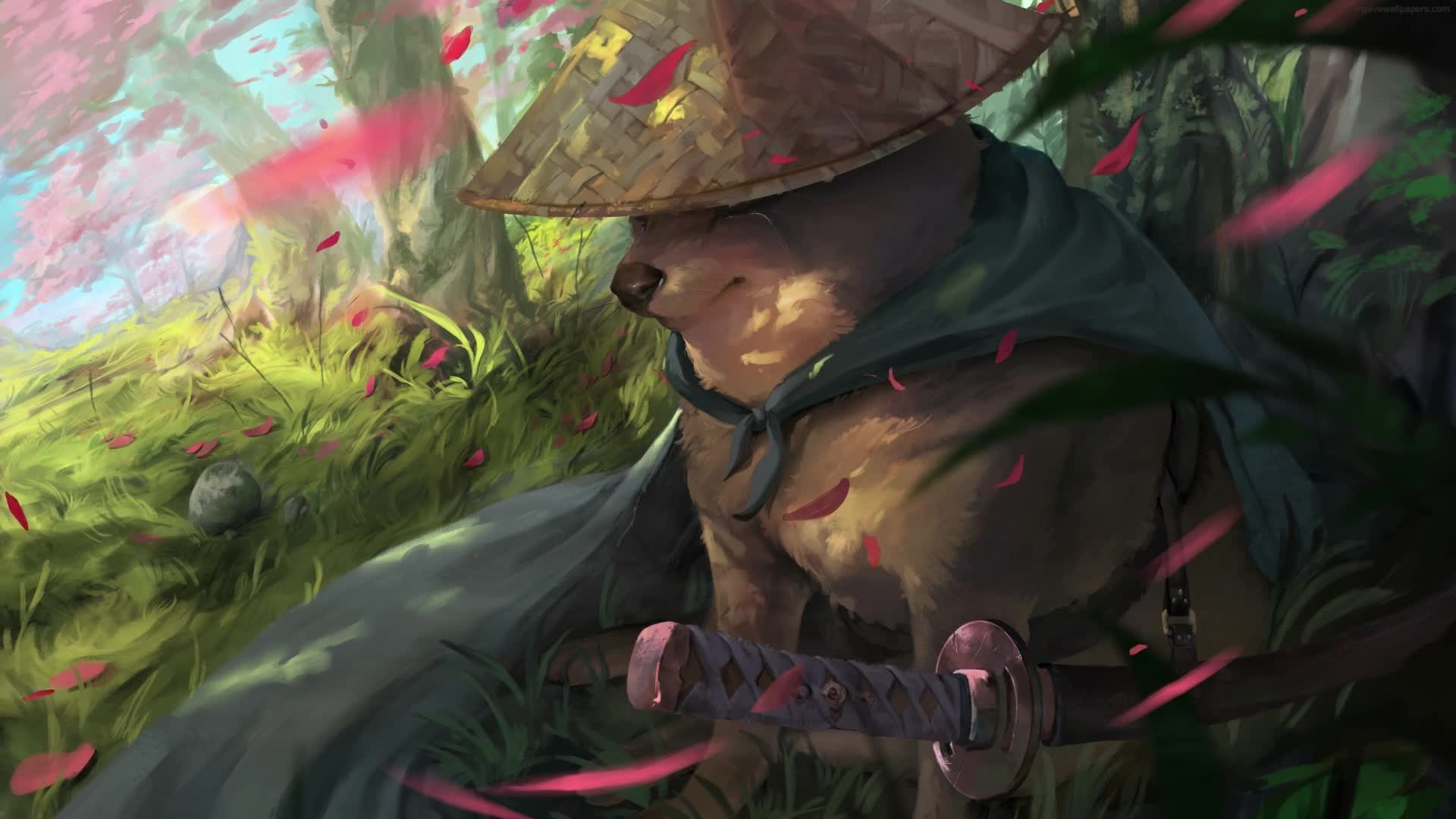 PC Animated Samurai Doge Live Wallpaper
