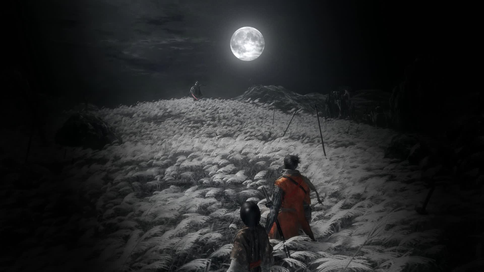PC Animated Sekiro Night Duel Live Wallpaper