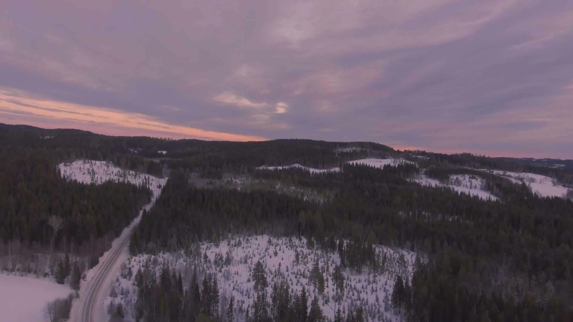 Forest Windows Animated Wallpaper