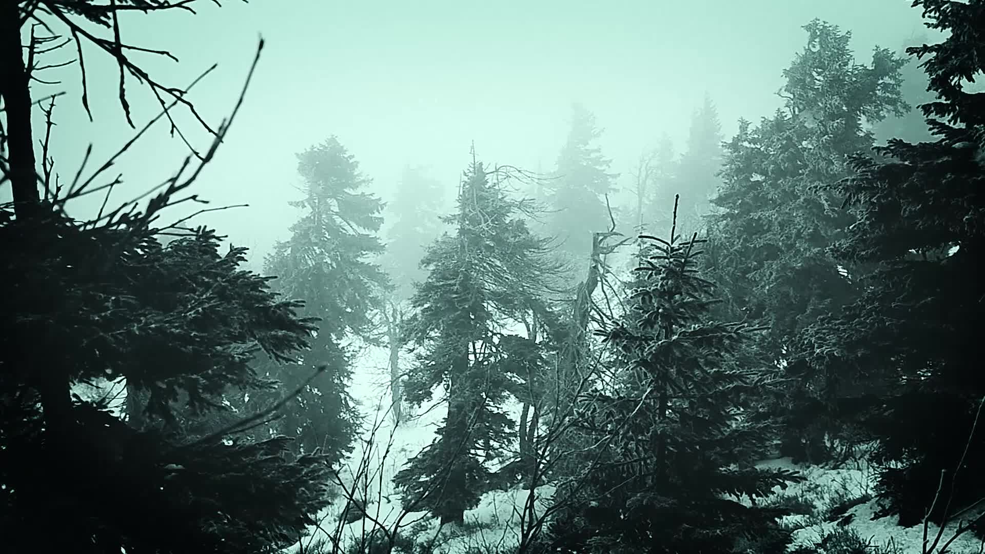 Mountains Snow Windows Animated Wallpaper