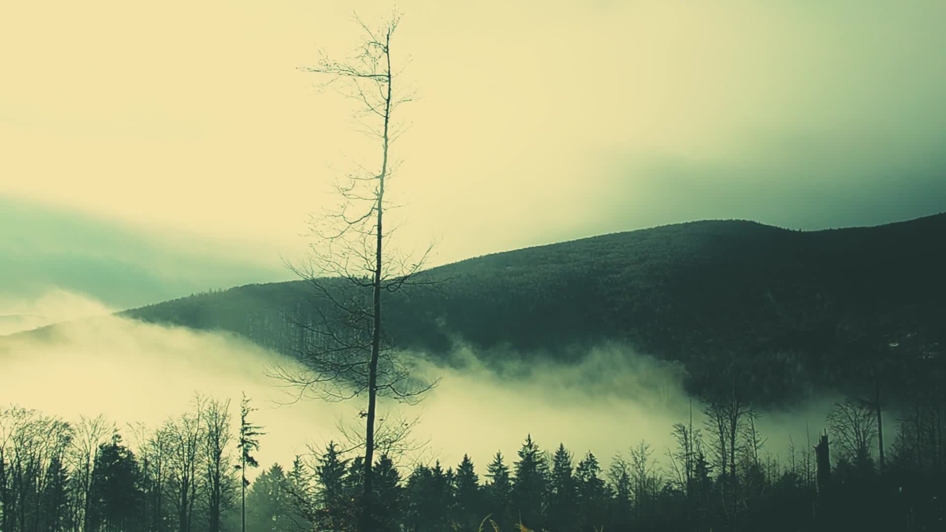 Mountains Windows Animated Wallpaper