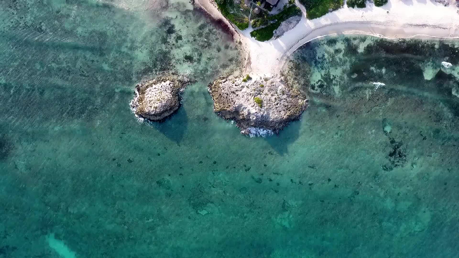 The Coast Windows Animated Wallpaper