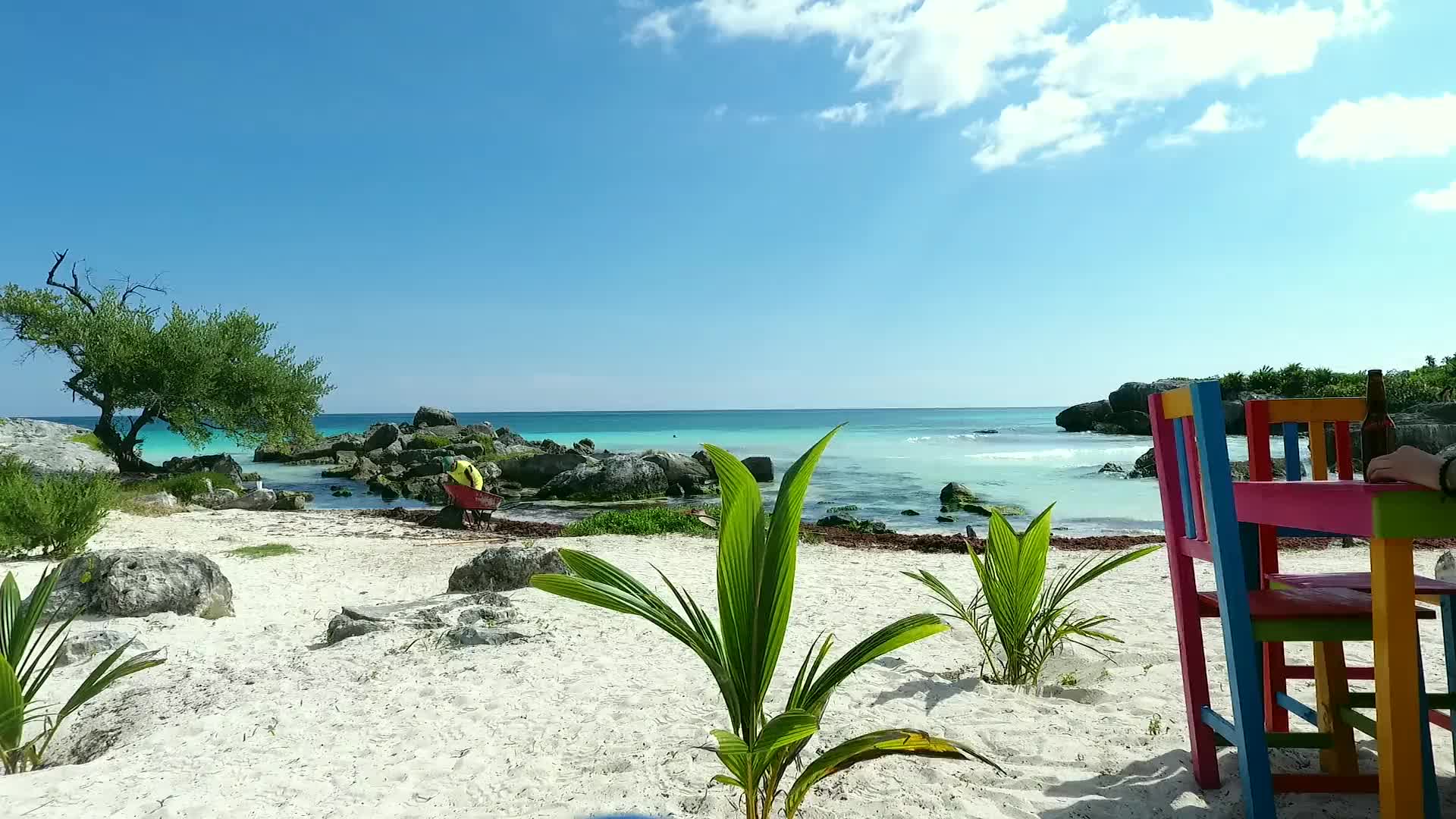 Tulum Windows Live Wallpaper