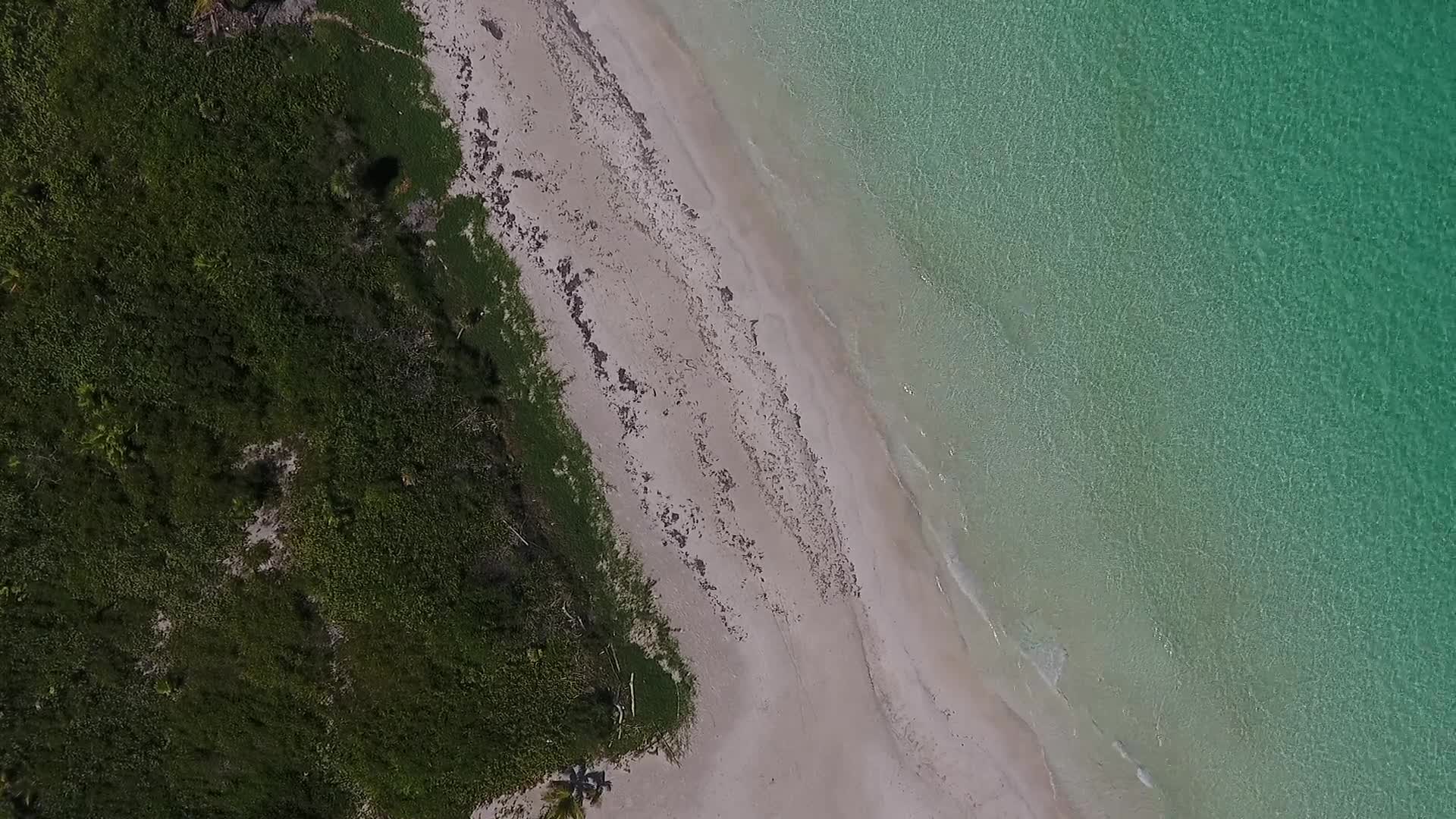 Zoom to shore Windows Animated Wallpaper