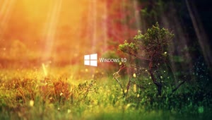 Win10 Nature Live Wallpaper