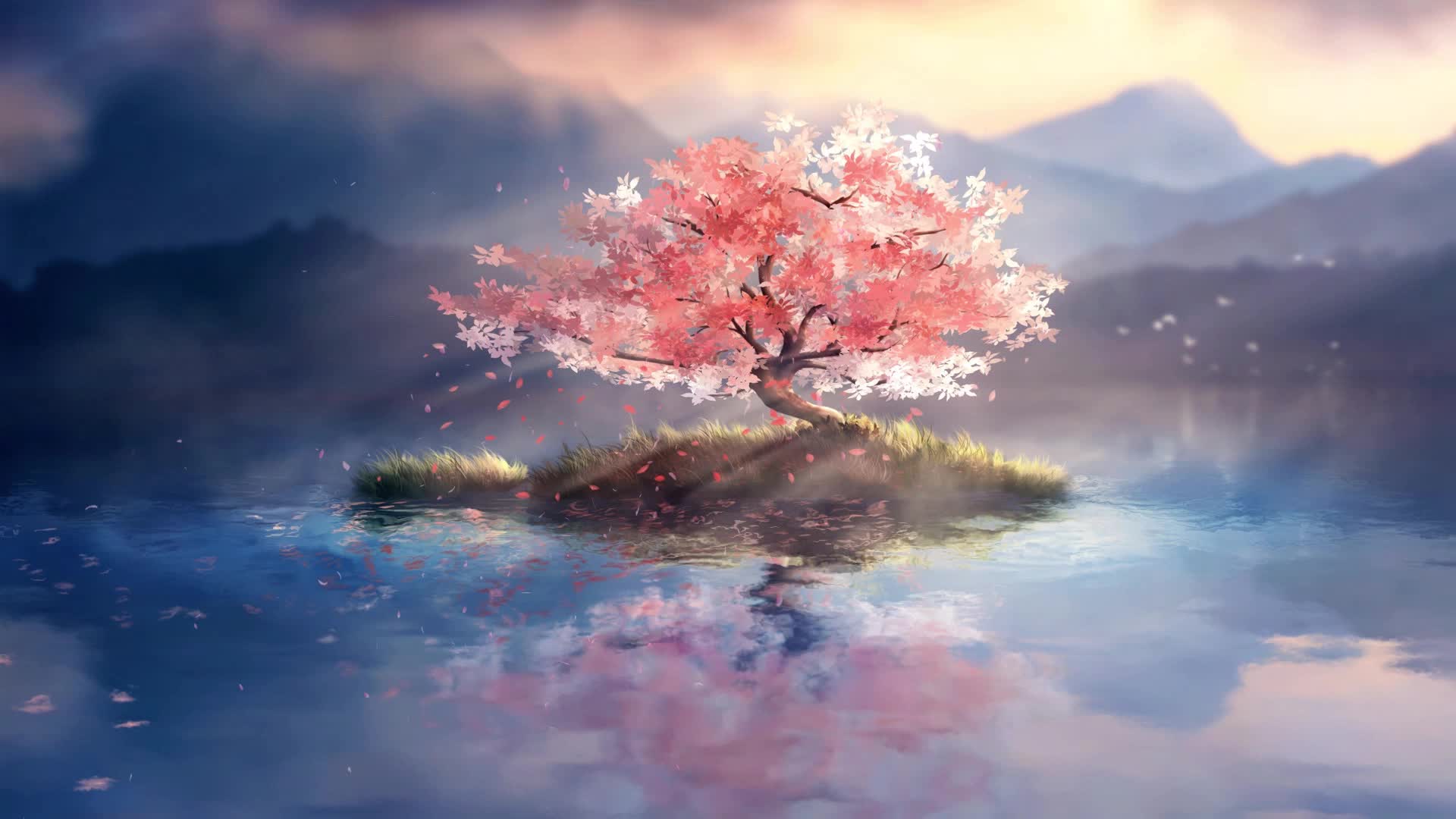 Desktop Cherry Blossom 2 HD Live Wallpaper