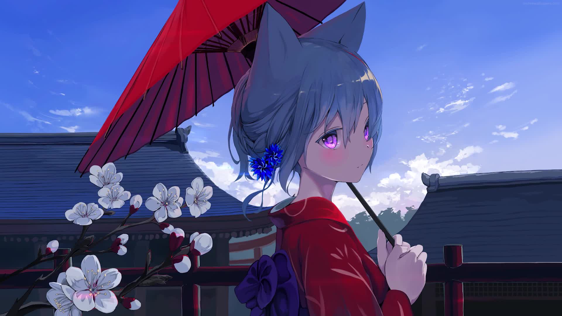 Anime Live Wallpaper