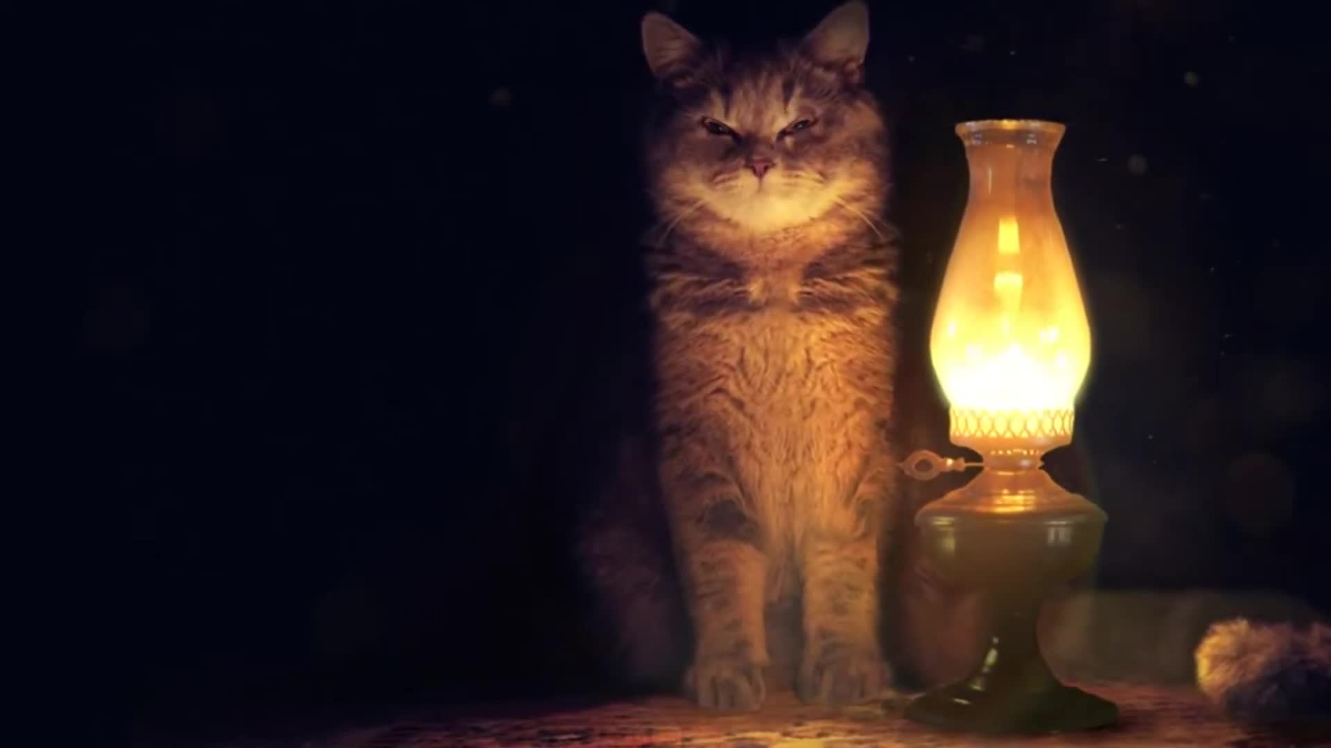 Live Wallpaper Cat