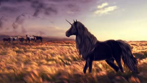 Fondo de Pantalla Animado de Caballo Unicornio 🐴 en Movimiento