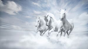 Fondo de Pantalla Animado de Caballos En las Nubes 🐴 en Movimiento