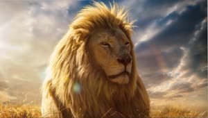 Fondo de Pantalla Animado de León De la Paz 🦁 en Movimiento