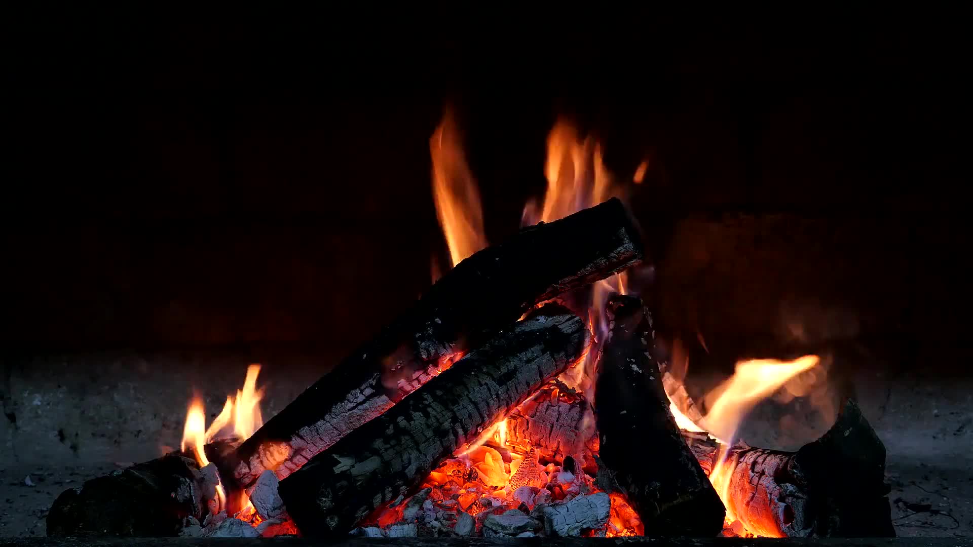 PC Camp Fire Live Wallpaper