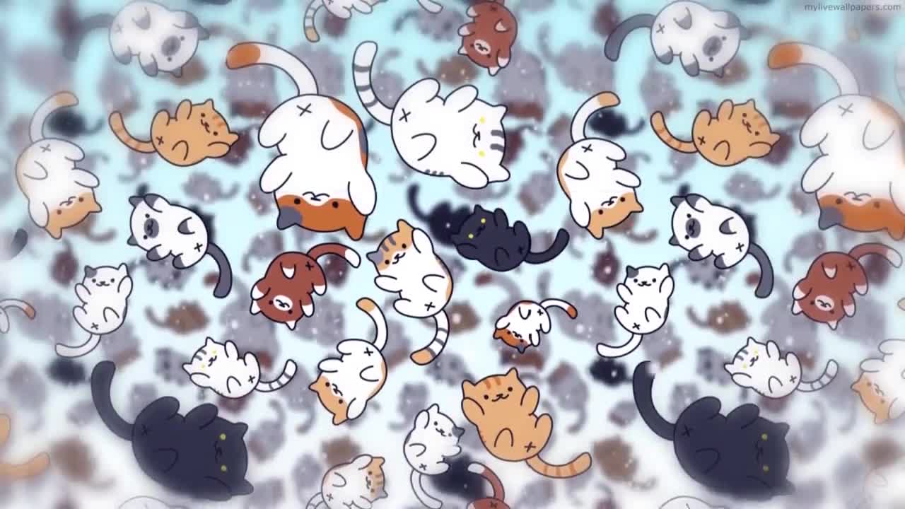 PC Raining Cats Live Wallpaper