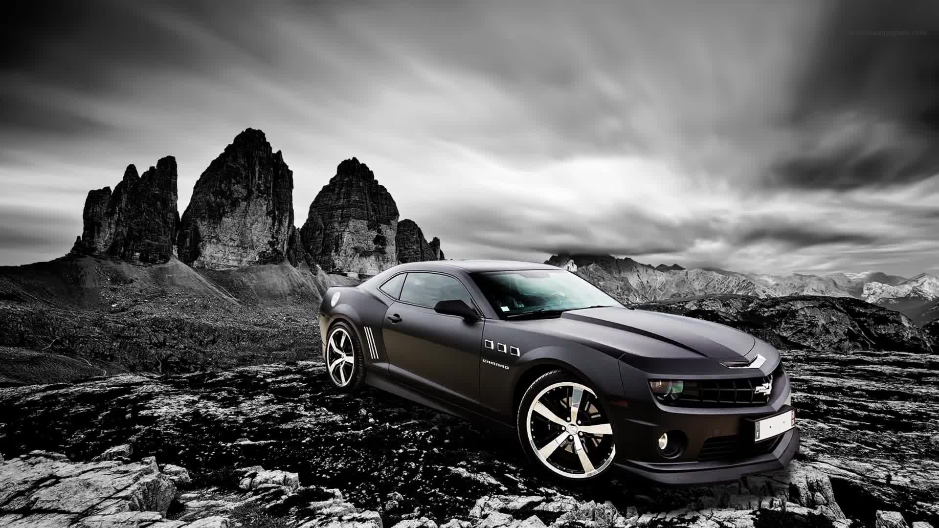 Fondo de Pantalla Animado Blanco y Negro de Coches ⚪⚫ en Movimiento
