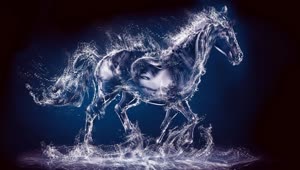 Fondo de Pantalla Animado de Caballo De Agua 🐴 en Movimiento