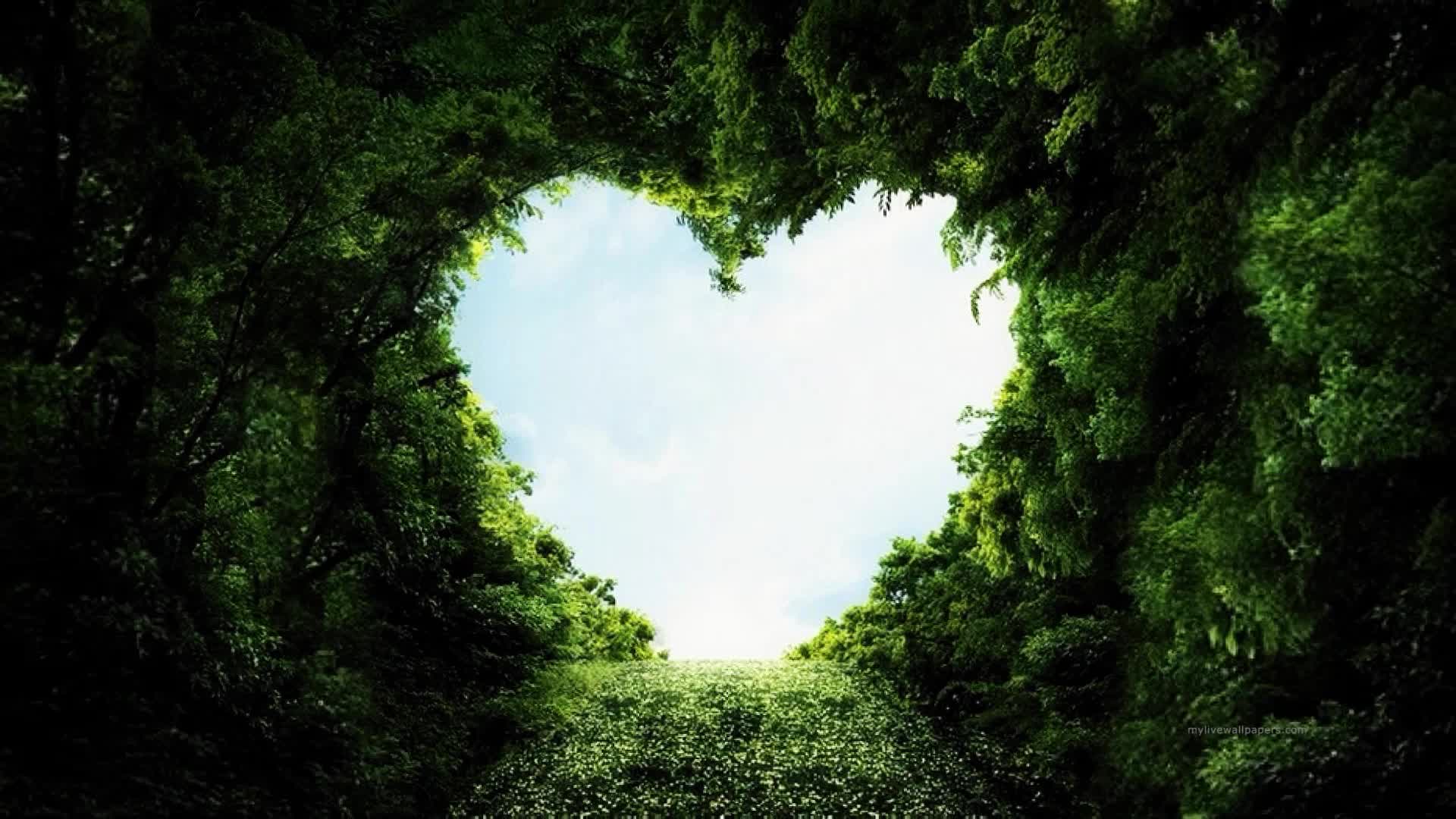 PC Heart Forest Live Wallpaper