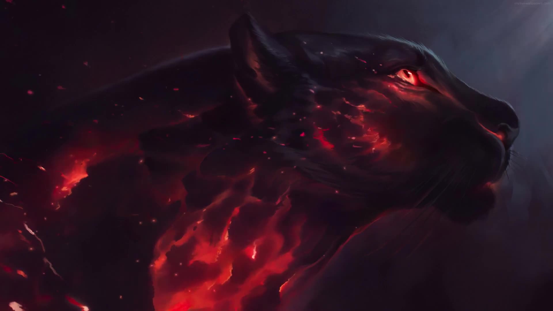 Cool Black Panther on Fire 1080p