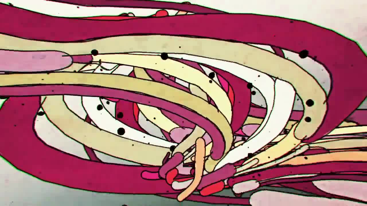 Stock Worm Parade Live Wallpaper