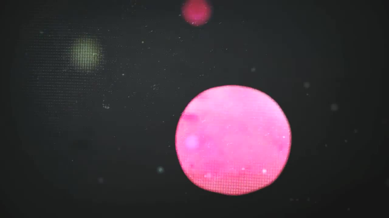 Stock Purehotness Live Wallpaper