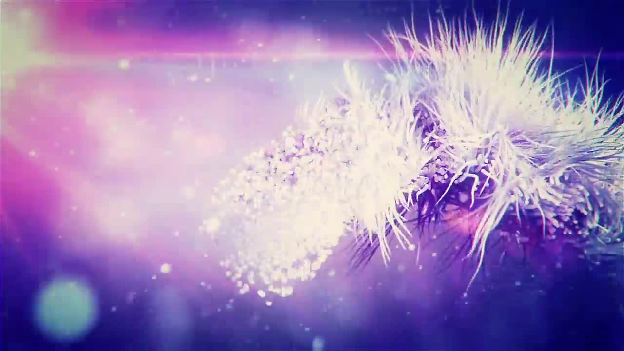 Stock FleerUltra Live Wallpaper