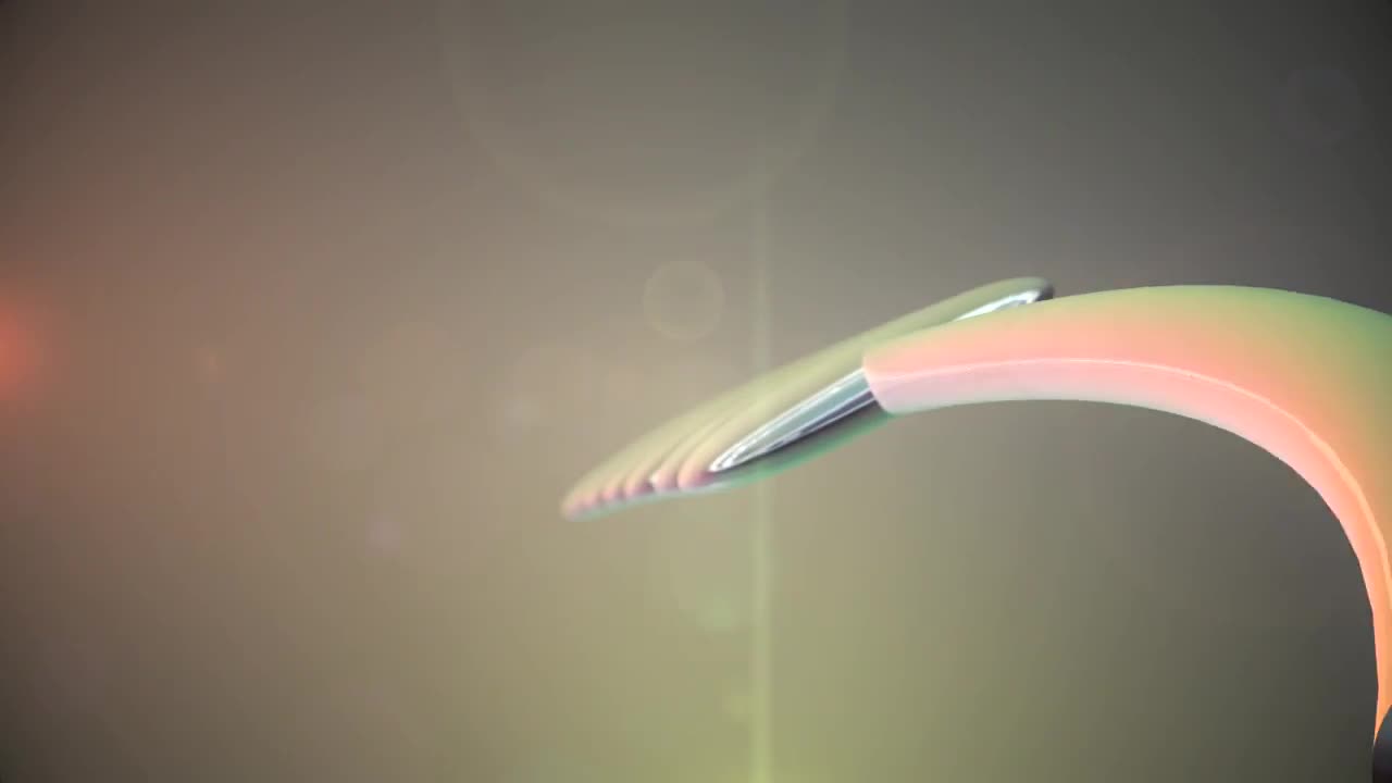 Stock Disc Parade Live Wallpaper