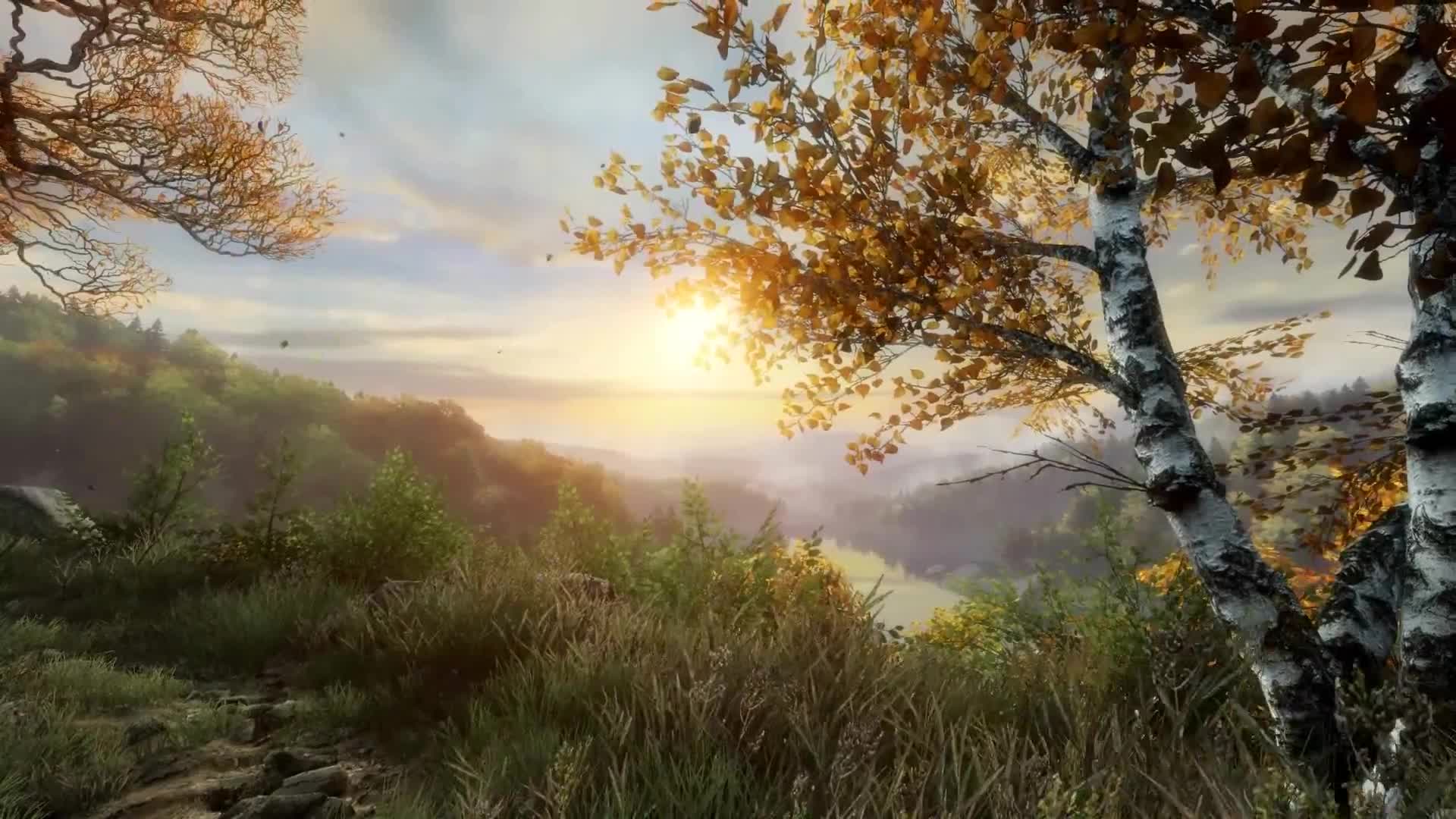 Vanishing of Ethan Carter Valley Scene