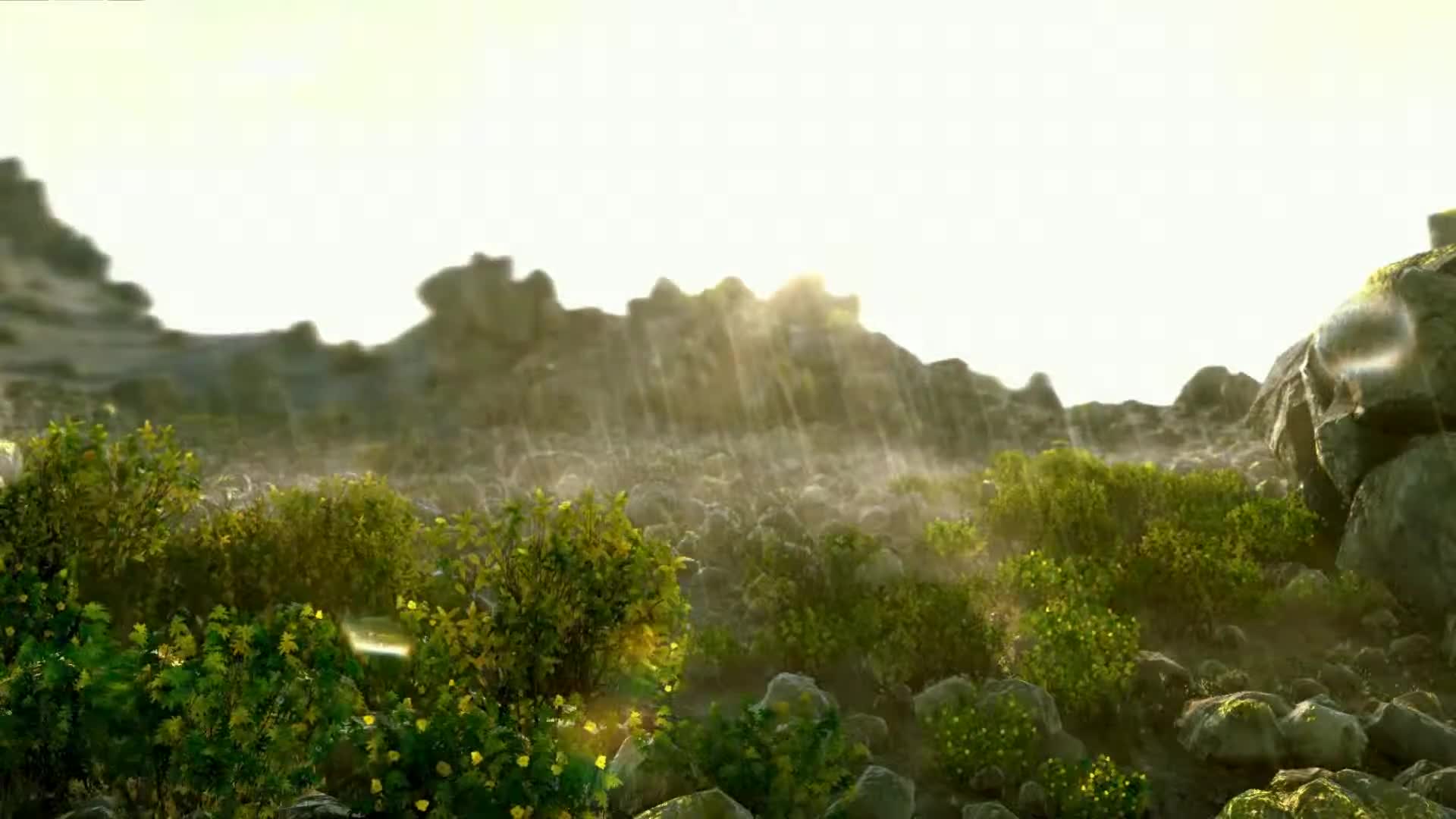 Sun Shower Live Wallpaper 1080p