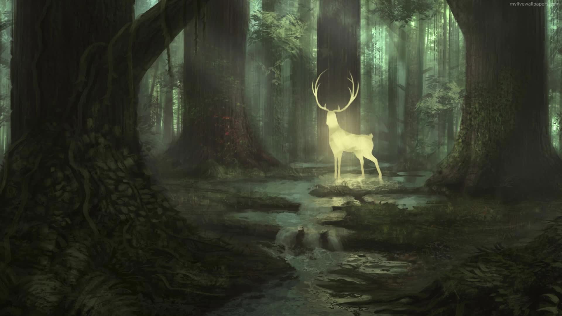 PC Forest Deer Live Wallpaper